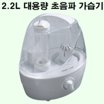 집이 방이 집 방 건조할때 자취방 가습기 안방 작은방 세척 청소 쉬운 겨울 건조한 원룸 아파트 사무실 거실, 블랙