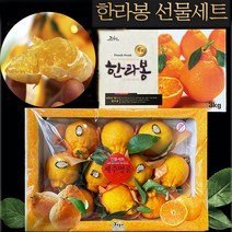 제주 나주 할라봉 22년 햇한라봉 제철 3kg 5kg 설날 명절 거래처 지인 가족 선물세트, 5kg (10~18과 내외)