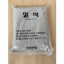 질석 19