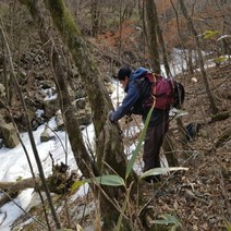 지리산 함양 마천고을 고로쇠 물 수액 6병 예약판매
