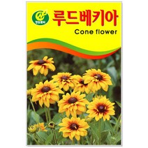 루드베키아 50립 꽃씨
