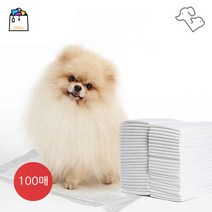 코펫 믿음 애견 배변패드 50매X2개 총 100장 [강아지배변 화장실유도 일반형 개패드 댕댕이]-WSL