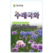 금계국 200립 - 야생화 씨앗 꽃씨 씨 꽃씨앗 금계국씨앗 금계국씨 다년생꽃씨 여러해살이 야생화씨 야생화씨앗, 31_다농_수레국화(1g)
