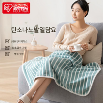 온열담요 매트 전기 캠핑용 장판 극세사 차박용, 파란색 줄무늬