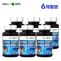 가이아 엠에스엠 MSM 2000 60정 1개월분 식약처 인증 식이유황 연골 무릎 관절에 좋은 영양제, 6병