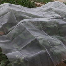 하우스비닐 농사용비닐 60100mesh 130m 농업 농장 야채 방충망 정원 과일 나무, 100mesh(눈 0.5mm), 7m x 7m