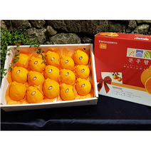 [제주위미농협] 고당도 한라봉 1.8kg 3kg 5kg 10kg 12브릭스 이상! 문주왕, 10kg 벌크포장(30-40과)