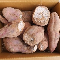 젊은농부 22년 햇 꿀고구마 호박고구마 실속형 못난이고구마(비품), (비품)실속형 호박고구마 못난이10kg