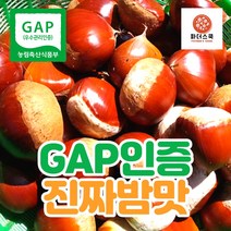 GAP 우수관리인증 햇밤 옥광밤 밤 알밤 깐밤 친환경 재배 무농약 굿뜨래 충남 부여 농장 산지직송, GAP인증 깐밤 1kg