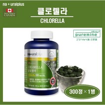식약처인증 캐나다 클로렐라 엽록소 정 알약 환 분말 가루 피부 면역 건강 영양제 추천 네츄럴플러스 chlorella