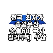 송월우산 SW 60 곡자 컬러무지 우산