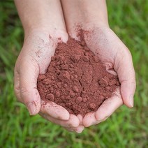 국산 아로니아분말 200g, 13Z3_국산 아로니아분말 200g
