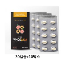 후랄라 입냄새 구취제거 30캡슐 씹어먹는 속에서올라오는구취 흡연후 여행갈때, 30캡슐x10박스