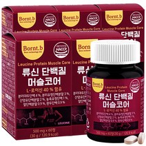 본트비 류신 단백질 타블렛 아미노산 BCAA 머슬코어 500mgx60정 5박스, 60정, 5개