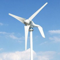 소형발전기 전기발전기 1000w 풍력 터빈 발전기 12V 24V 48V DC 220v AC 홈 시스템 무료 녹색 대체 에너지 태양 전지 패널 가정용 솔루션, Wind Turbine Only, 400W 3 Blades