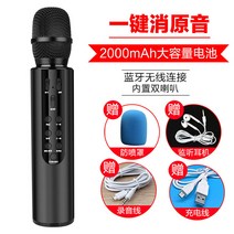 듀얼플레어 마이크 스피커 일체형 노래방마이크 무선마이크 블루투스마이크 집노래방 방송마이크, 검정, 기본 및 수납함