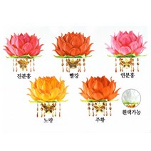 부자기도등 - 5색세트 10개 (전기선 전구 고급등표포함) 고급연등, 일반전구