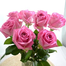 장미꽃 생화 꽃다발 생화택배 여자친구선물, 아쿠아장미