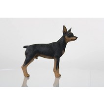 Conversation Concepts 미니어처 핀셔 블랙 앤 탠 피규어