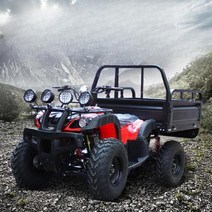 화물 ATV 4륜오토바이 농업용 짐운반 사륜바이크, CVT 새로운