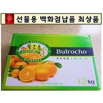 초 고당도 불로초 감귤 3kg 선물용 제주 당도선별 당도보장 타이백 귤 로얄과 프리미엄 백화점납품용 선물세트 불로초 귤