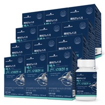 메이준뉴트리 맥스 콘드로이친 12개월분, 상세페이지참조