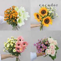 [코코도르팜] (1+1) 한종류 생화배송 (꽃 종류 랜덤 배송), 01_[절화]1+1한종류절화/랜덤