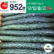 <해돋이농산> 국내산 가시오이 못난이오이 청오이 특품 상품 1박스, 특품1박스