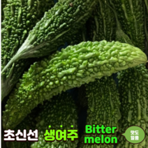 생여주 1kg / 3kg / 5kg / 10kg 비터메론 비터멜론 bitter melon gourd 쓴수박 쓴오이 쓴박 고야 초록 국산 생 여주, 1개