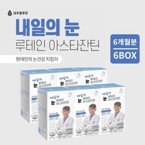 안구 망막 모세 혈관 혈류량 증가 눈 시력 피로도 노화 회복 건강 을 지키는 루테인 아스타잔틴 헤마토코쿠스 영양제, 6BOX(6개월분)