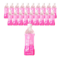 벨리불리 화산용암수 제주 미네랄 500수 음료, 500ml, 140개