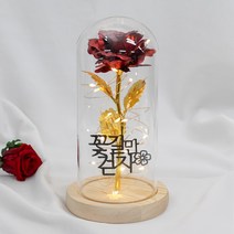 굿라이프 토퍼문구 홀로그램 LED 장미 유리돔 무드등 레드꽃 우드받침대, 09.꽃길만걷자