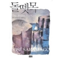 [개똥이네][중고-최상] 돌뗏목
