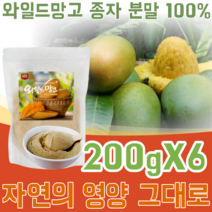 미국산 아프리카 덤불 와일드 망고 종자 씨앗 분말 100% WILD MANGO 물 요거트 요구르트 요그루트 베이킹 재료 타 뿌려 먹는 맛있는 벌크 형 가루 파우더 파는곳 추천, 6