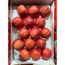 추석 홍로사과 선물세트, 1개, 실속 선물세트 시나노골드 5kg(14~16과)