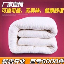 거실 매트리스 솜 침대 이불 솜털 수작업 호텔 바닥에 두꺼운 커버 456798