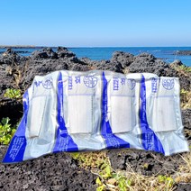 제주 명품 은갈치 제주갈치 갈치살 특산품 갈치조림 갈치구이, 300g 2마리, 8팩