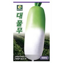 밀크티쓸 흰무니 엉겅퀴 2g - 씨 씨앗 밀크씨슬 엉겅퀴씨앗 나물 나물씨앗 채소씨 채소씨앗 흰무니엉겅퀴, 10_다농_대물무(500립)