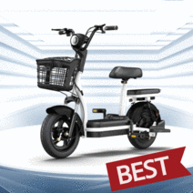 전기자전거 동일한 국가 표준 소형 남녀 성인용 배터리, 48v, 12A, 4.레드_60KM