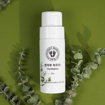 풋마루 신발냄새 탈취제 발냄새 파우더 운동화 군인 신발 구두 슬리퍼 샌들 냄새 제거, 풋마루 파우더 유칼립투스(80g), 1개, 80g