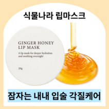 식물나라 진저허니 립마스크 20g 나이트 립케어 고보습 꿀추출물 립밤 입술각질 입술팩 립각질제거 립마스크 진저슈가 슬리핑팩 립팩 립마스크, 3개