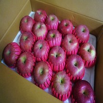 [경북사과]고당도 알뜰 햇사과 특가행사 가정용, 1box, 06가정용 사과 5kg/소과