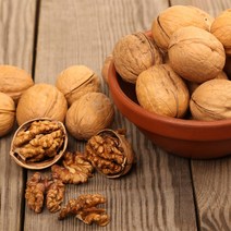 [충북농원] 8518왜성 호두 묘목 2년생 실생묘, 실생/2년생/H1.0