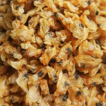 건조갯살 500g 건조개살 바지락살 조개살 조갯살 쫄깃한 식감 쪽빛누리