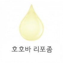 몰드몰 호호바 리포좀 비누만들기재료, 500ml