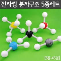 과학 교보재 전자 분주 구조 모형 5개 세트 스터디 공부 화학 실습