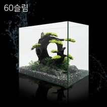 [스토어봄] 칸후 프리미엄 일반어항 2자슬림 60x35x38cm(6T)-라라아쿠아[무료배송