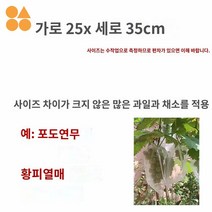 곤충방지 토마토 과일 야채 망 무화가 봉지 체리 포도, 가로 25×세로 35cm【50개】
