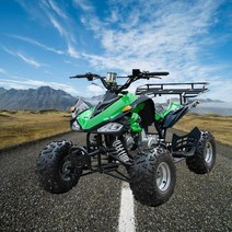 atv Aiwei 멋진 해변 자동차 125cc 이중 알루미늄 행 확장 작은 화성 4 륜 해변 자동차 7 인치 해변 오프로드 오토바이, 선불