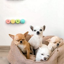 애견향수 강아지향수 향이오래가는 미스트 향수샴푸 개를위한 4 pcs 공기 청정기 고양이 쓰레기 신발 캐비닛 화장실 냄새 제거 애완 동물 도넛 모양의 탈취제 용기